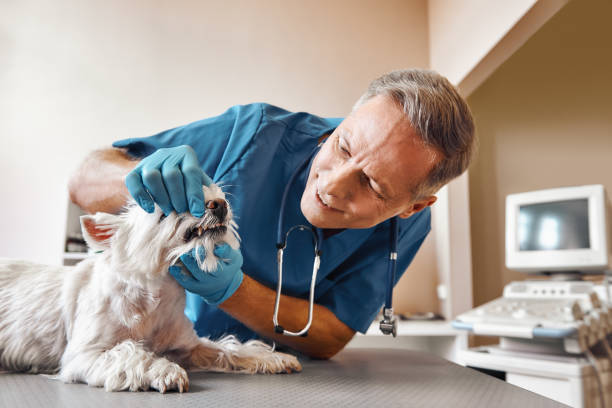 Best After-Hours Emergency Dentist in Salem, IL